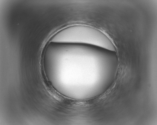 X0000076040151200609220927