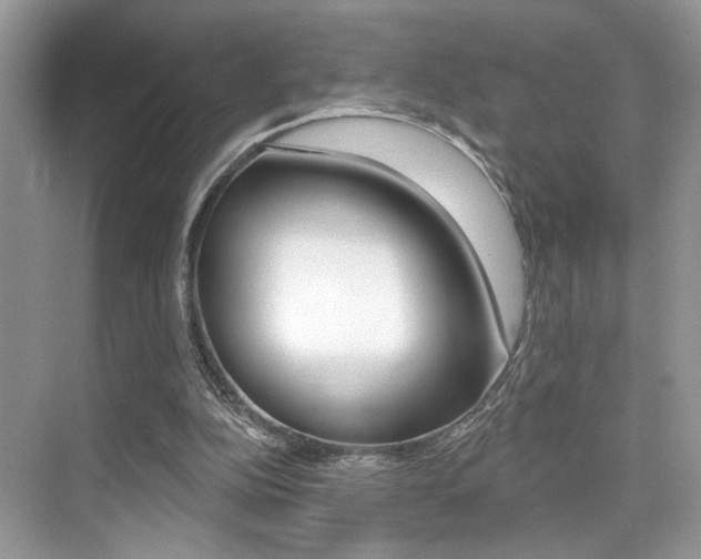 X0000076040152200609220927