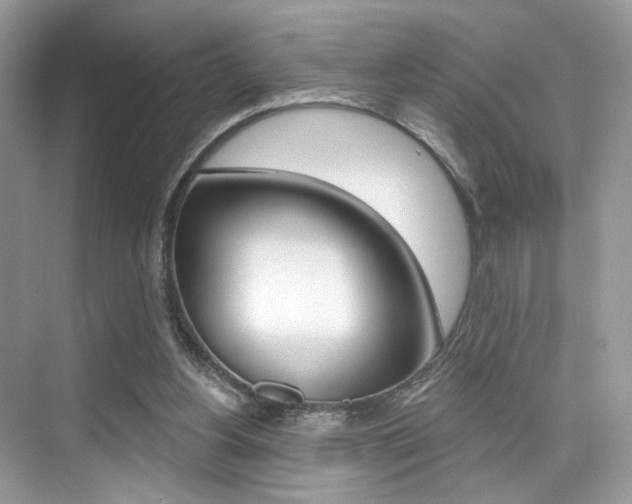 X0000076040156200609220927