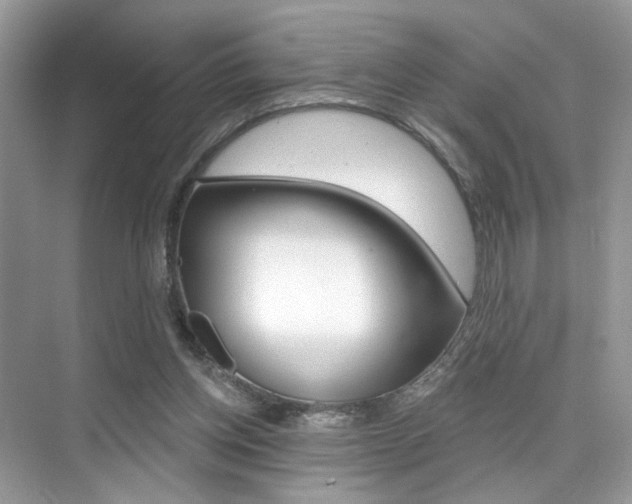 X0000076040158200609220927