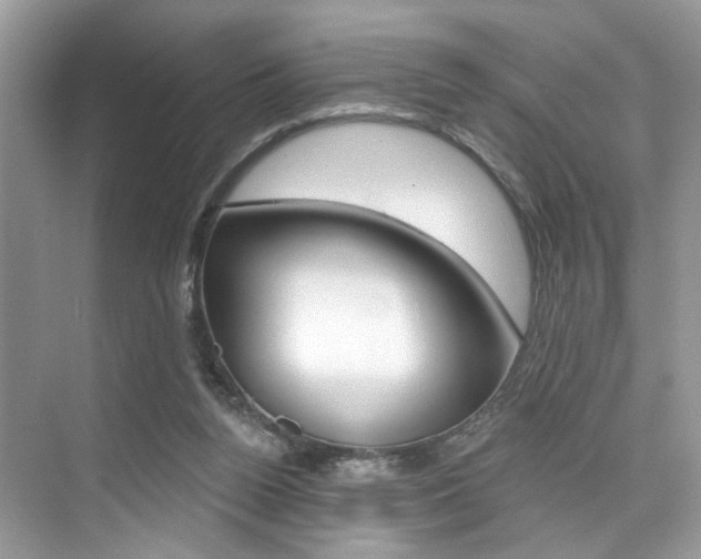 X0000076040160200609220927