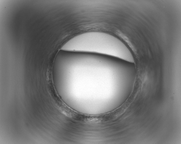 X0000076040161200609220928