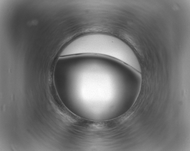 X0000076040164200609220928