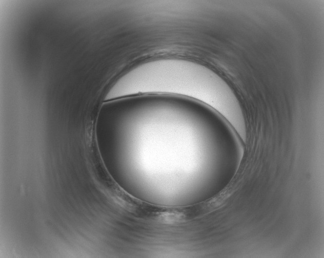 X0000076040168200609220928