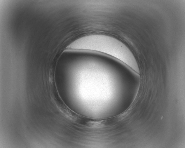 X0000076040170200609220928