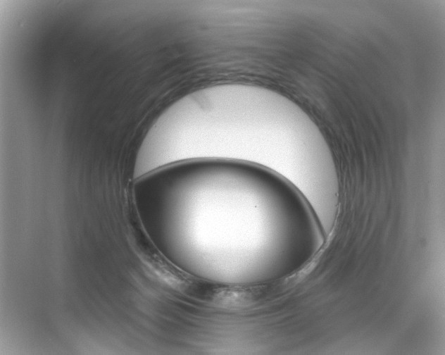 X0000076040174200609220928