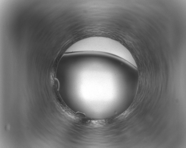 X0000076040188200609220928