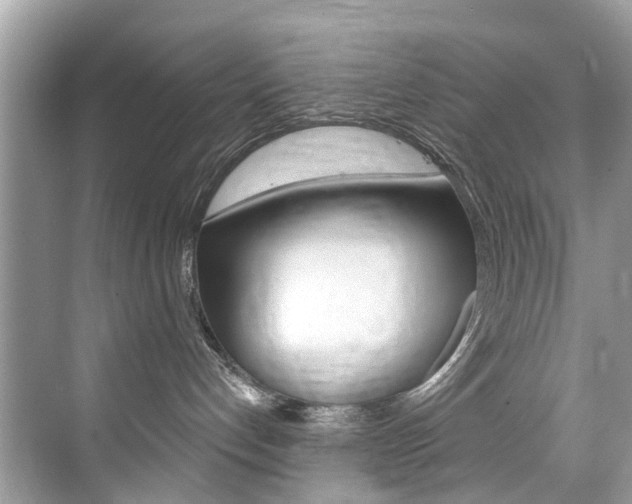 X0000076040192200609220928