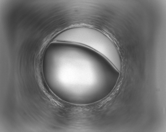 X0000076040193200609220927