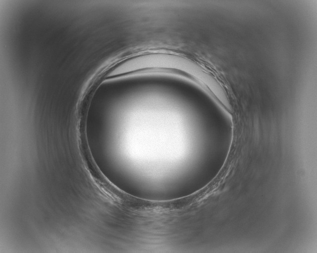 X0000076040197200609220927