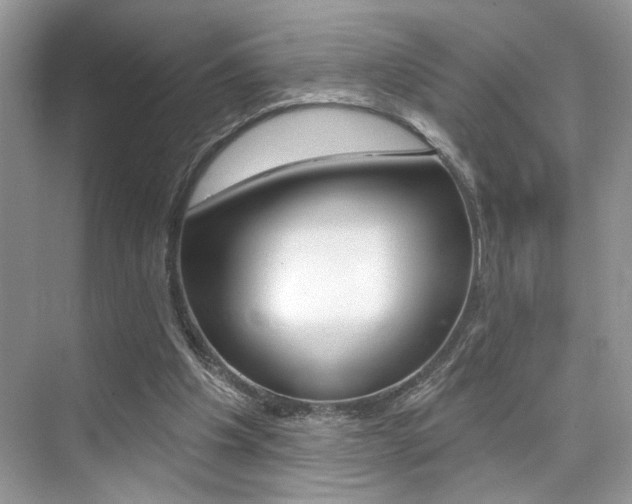 X0000076040201200609220927