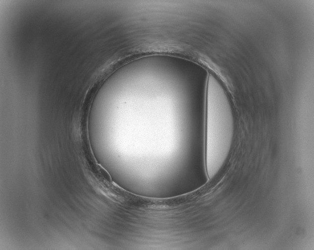 X0000076040203200609220927