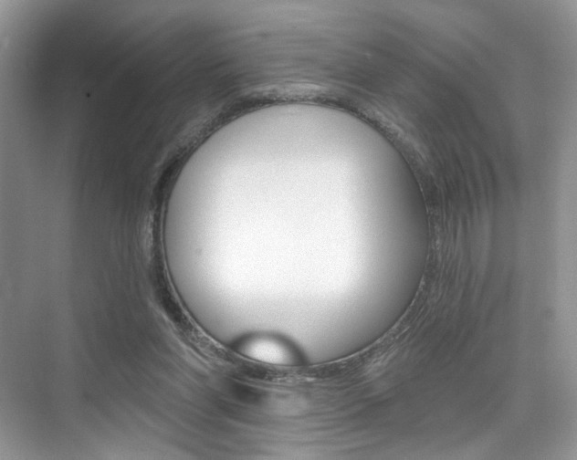 X0000076040206200609220927