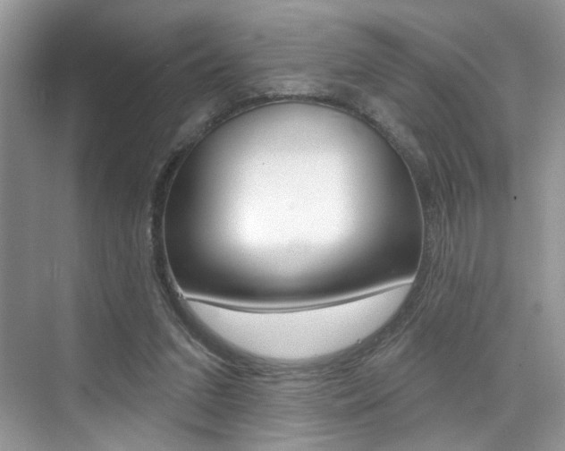 X0000076040207200609220927