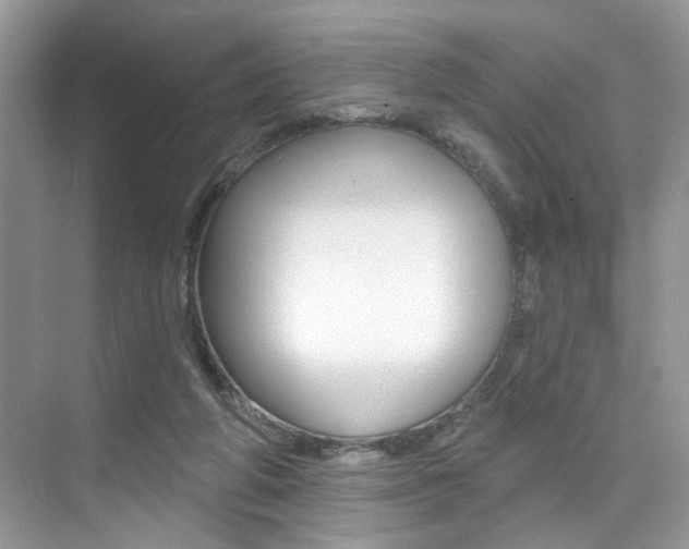 X0000076040210200609220927