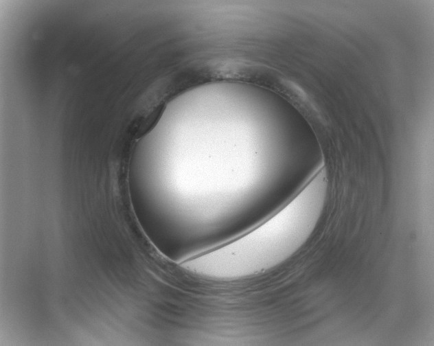 X0000076040217200609220927