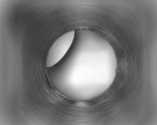 X0000076040218200609220927