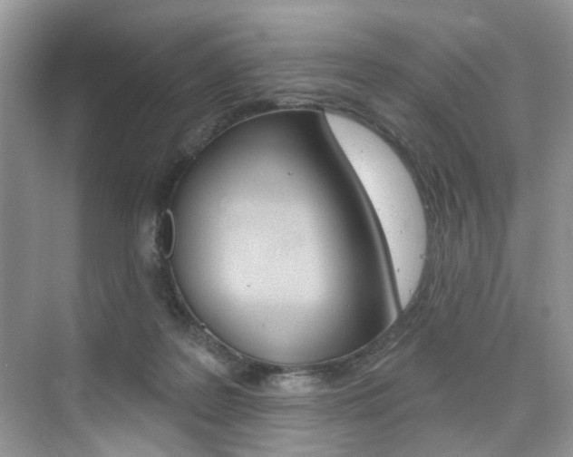 X0000076040219200609220927