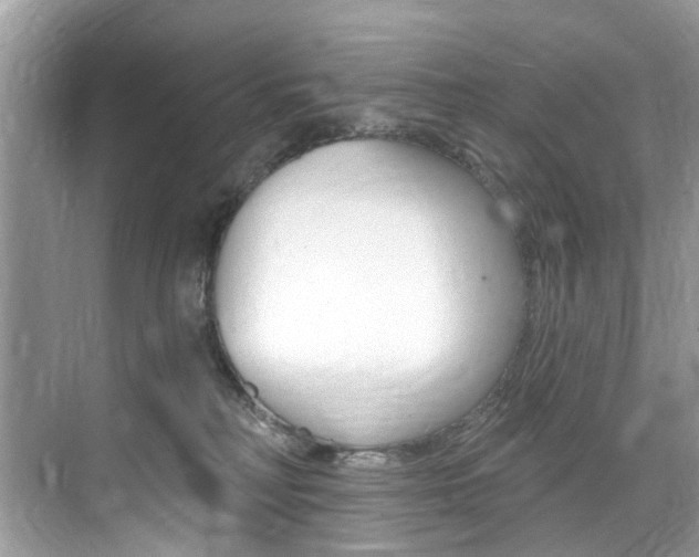 X0000076040230200609220927