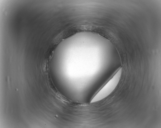X0000076040233200609220927