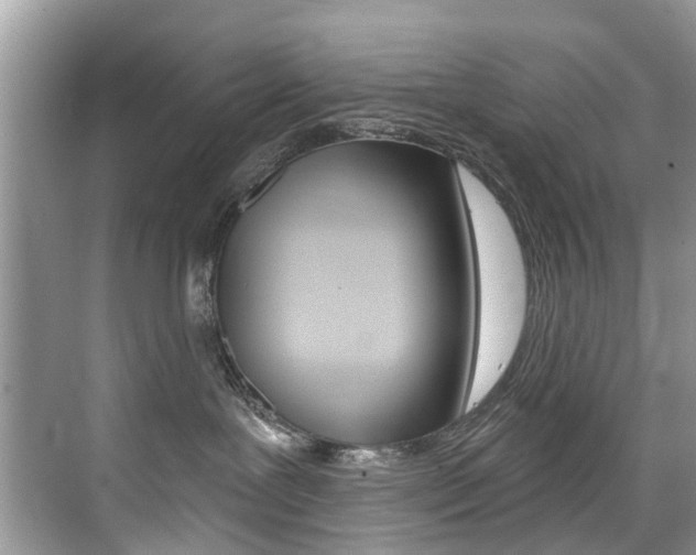 X0000076040239200609220926