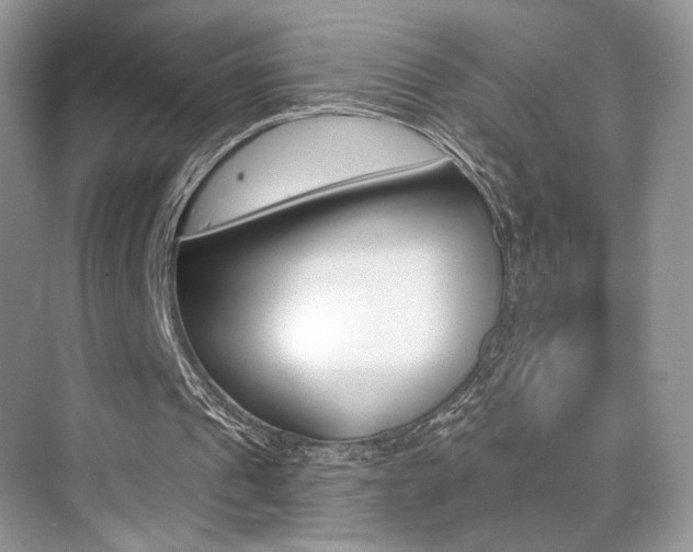 X0000076040241200609220926