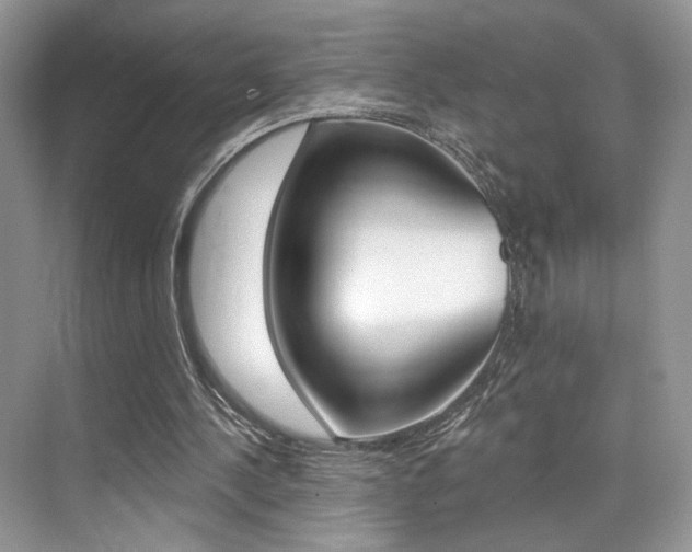 X0000076040244200609220926