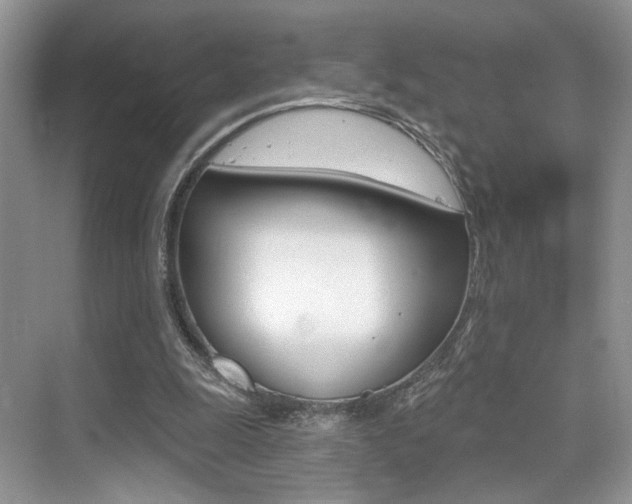 X0000076040247200609220926