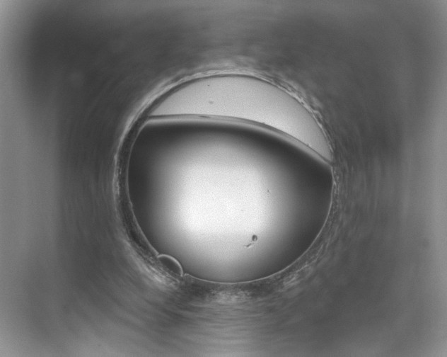 X0000076040248200609220926