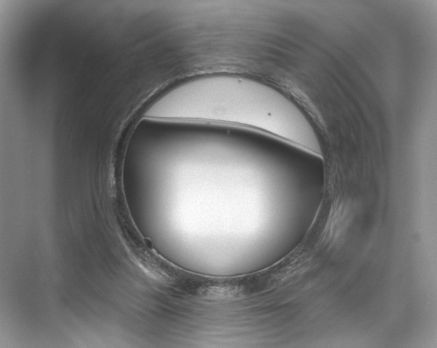 X0000076040251200609220926