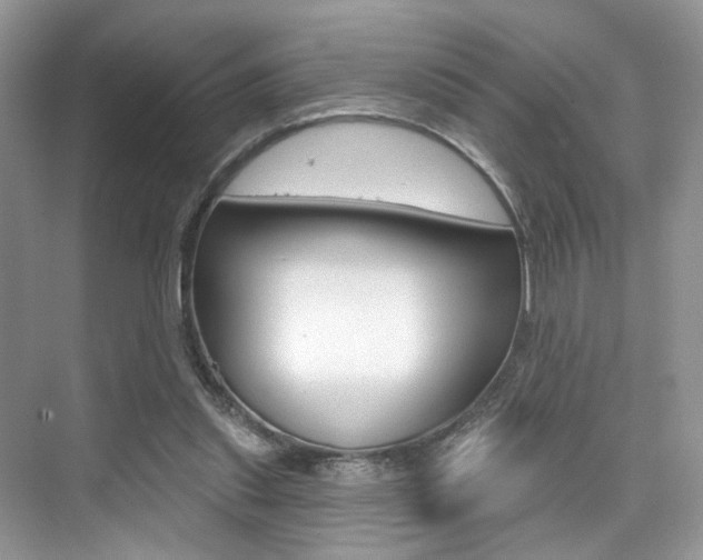 X0000076040253200609220926