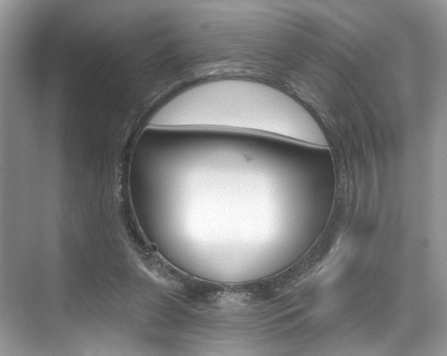 X0000076040255200609220926