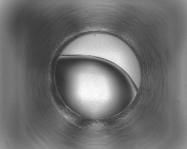 X0000076040256200609220926