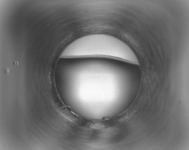 X0000076040258200609220926