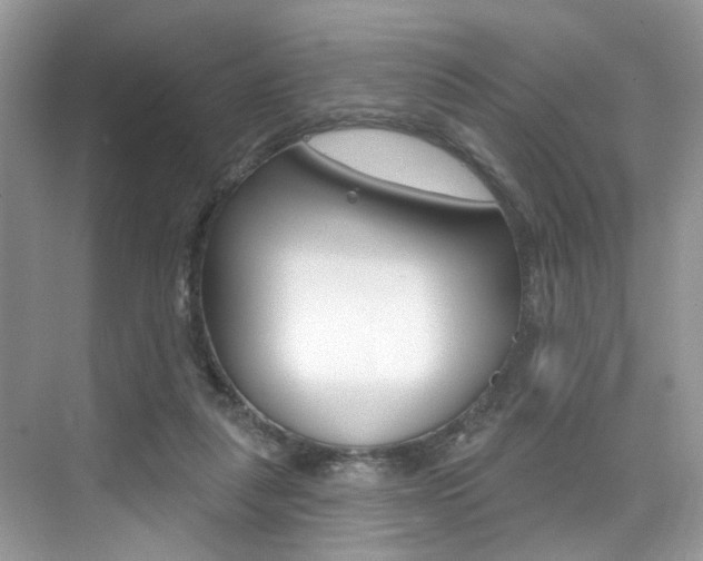 X0000076040259200609220926