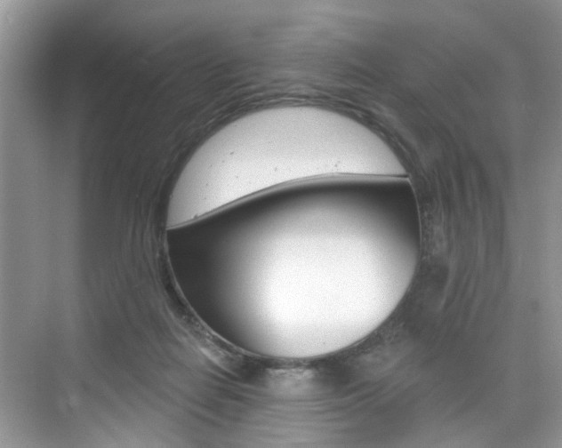 X0000076040266200609220926