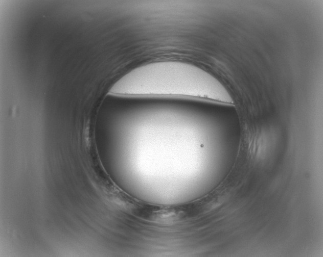 X0000076040267200609220926