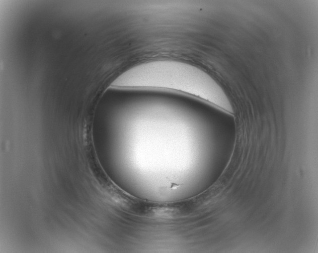 X0000076040268200609220926