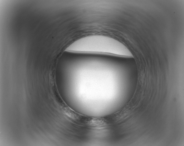 X0000076040270200609220926