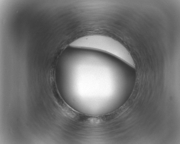 X0000076040272200609220926