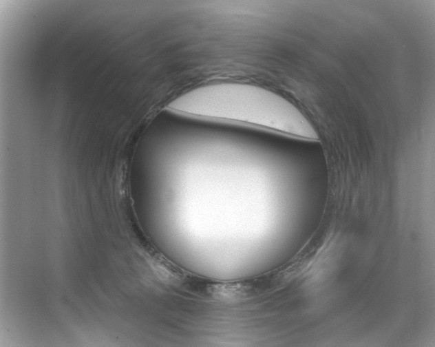 X0000076040273200609220926