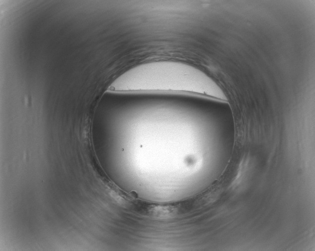 X0000076040277200609220926