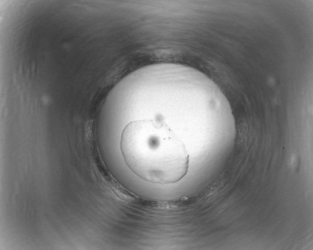 X0000076040278200609220926