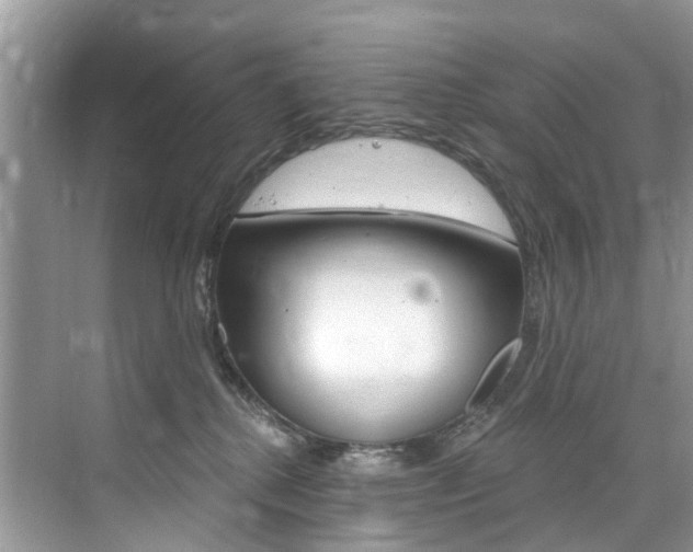 X0000076040280200609220926