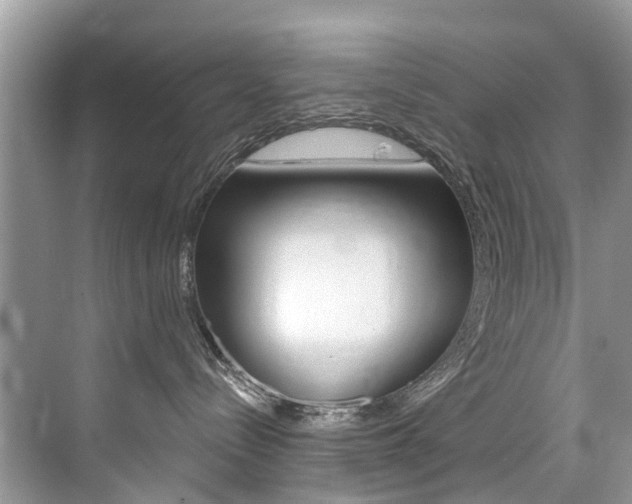 X0000076040288200609220926