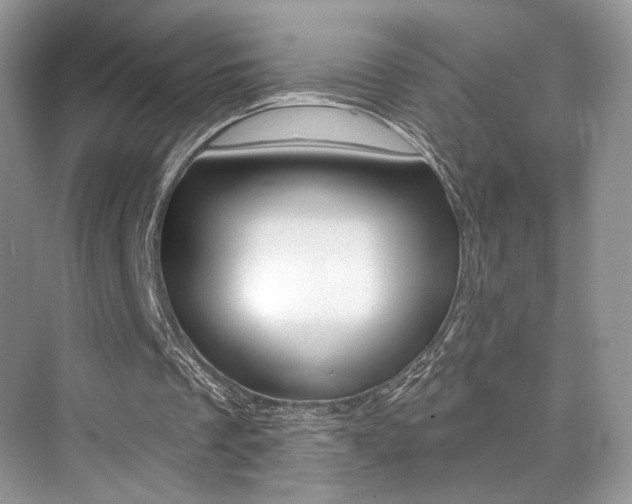 X0000076040289200609220926