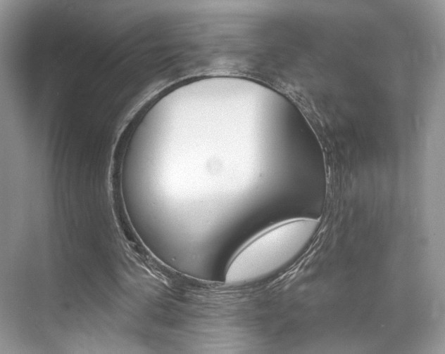 X0000076040292200609220926