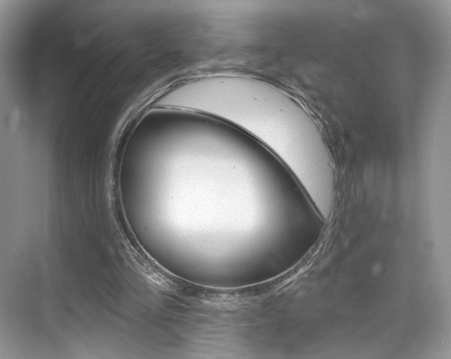 X0000076040293200609220926