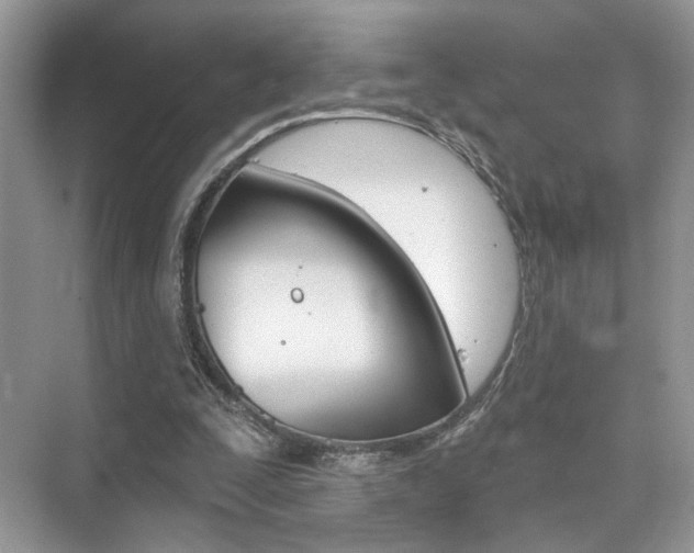 X0000076040295200609220926