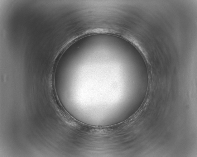 X0000076040297200609220925